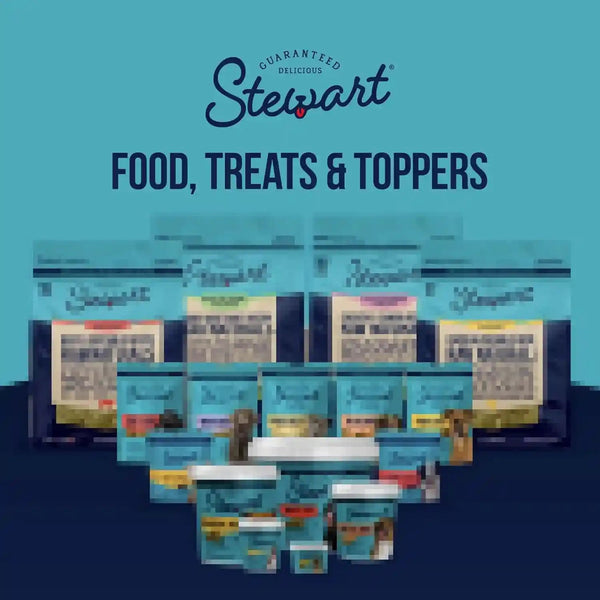 Stewart Freeze Dried Dog Treats, 100% Wild Salmon, 9.5 Oz Tub | Premium Quality Raw Protein, Single Ingredient, High Protein Training Treats & Food Topper, No Refrigeration, Cat Friendly10