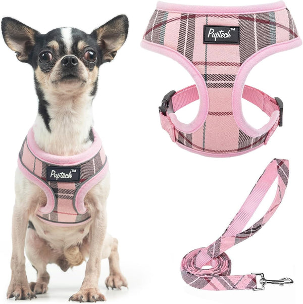 PUPTECK Soft Mesh Dog Harness Small Sized and Leash Set Pet Puppy Cat Comfort Padded Vest No Pull Harnesses, Beige, S14