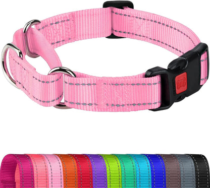 Joytale Martingale Collar for Dogs, Escape Proof No Pull, Hotpink, M | Gentle Cinch Stops Pulling without Choking, Safety Lock Buckle, Reflective Stitching for Night Walks, Soft Nylon15