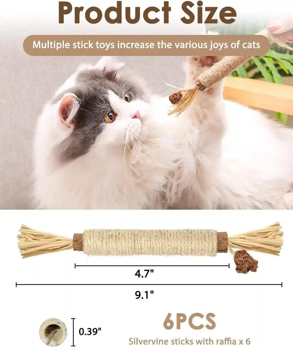 Tocirelo Silvervine Sticks Cat Toys - 6Pack Natural Cat Chew Toy Teeth Cleaning, Matatabi Dental Care Kitten Treat, Catnip Cat Teething Toys, Catmint Silver Vine Sticks for Bored Indoor Kitty6