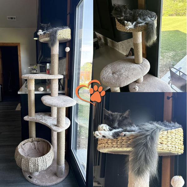 PETSITE 65-Inch Cattail Cat Tree Tower, Multi-Level Cat Tower with Natural Jute Scratching Posts, Cat Bed, Top Perch, Dangling Balls and Jumping Platforms, Modern Tall Cat Tree for Indoor Cats2