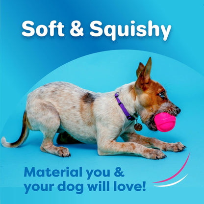 Hartz Duraplay Bacon Scented Dog Toys, Small (Assorted Color)2