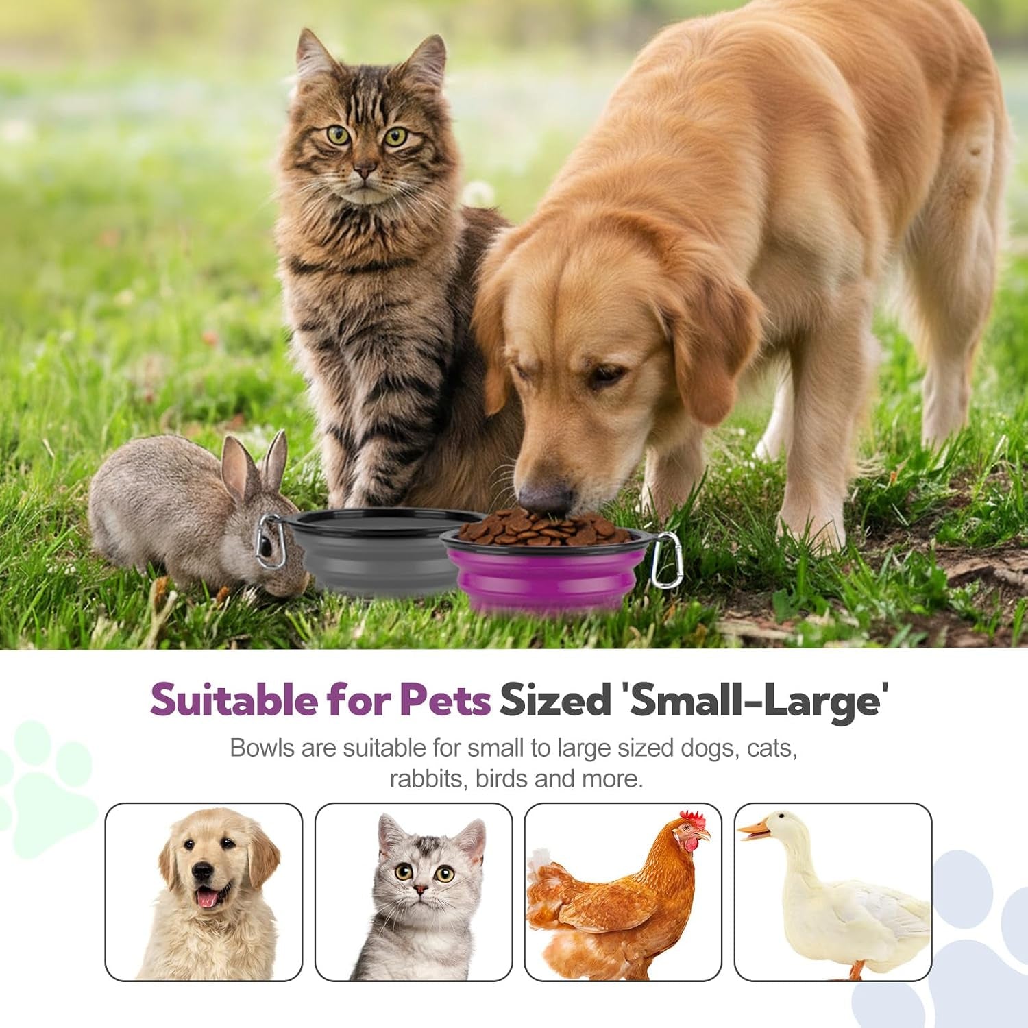 collapsible-dog-bowl-large-34oz-travel-dog-water-bowl-portable-2-pack-2-carabiner-clips-silicone-travel-dog-bowl-foldable-feeding-watering-dish-bowl-for-parking-walking-camping