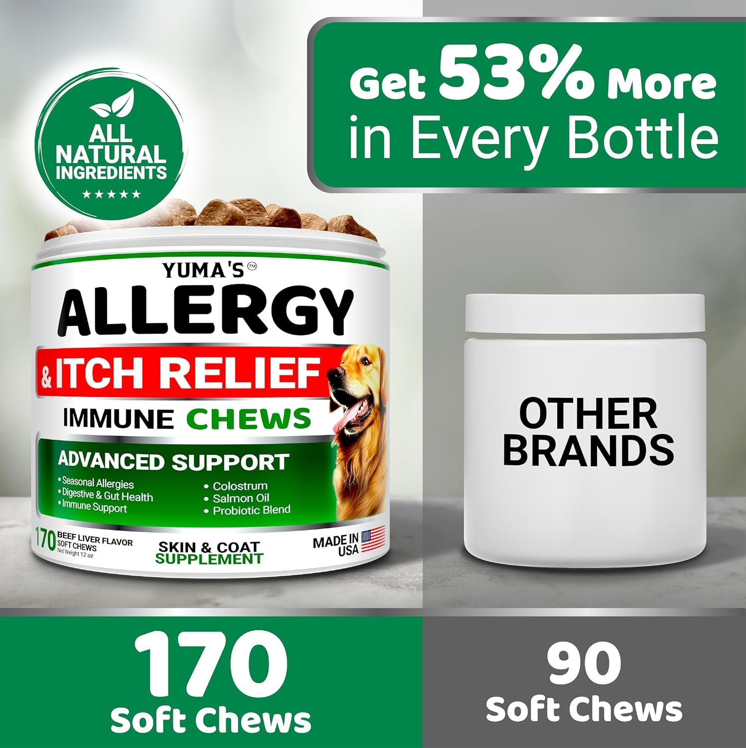 dog-allergy-relief-chews-dog-itching-skin-relief-treatment-pills-170-treats-anti-itch-itchy-and-paw-licking-hot-spots-omega-3-fish-oil-dry-skin-coat-supplement-beef-liver-flavor