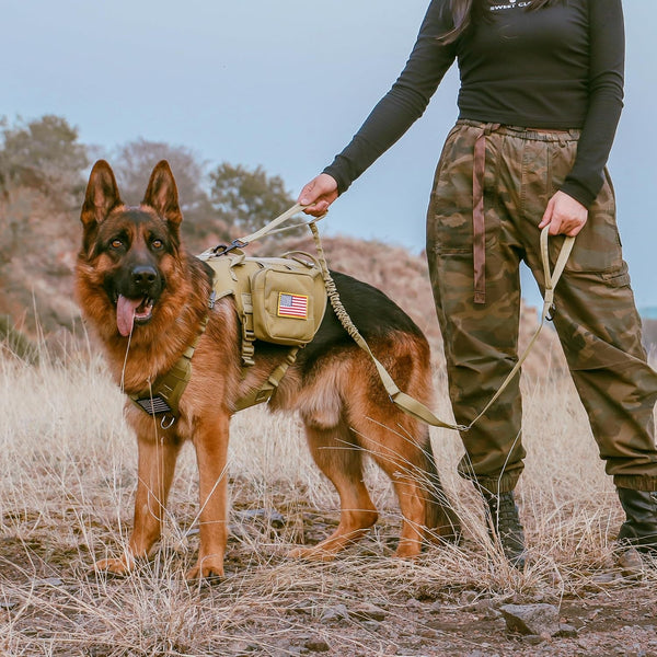 Forestpaw Tactical Dog Leash for Large Dogs, Khaki, 4-5FT | Heavy Duty Bungee, Shock Absorption, 2 Padded Handles, for Training Running Walking4