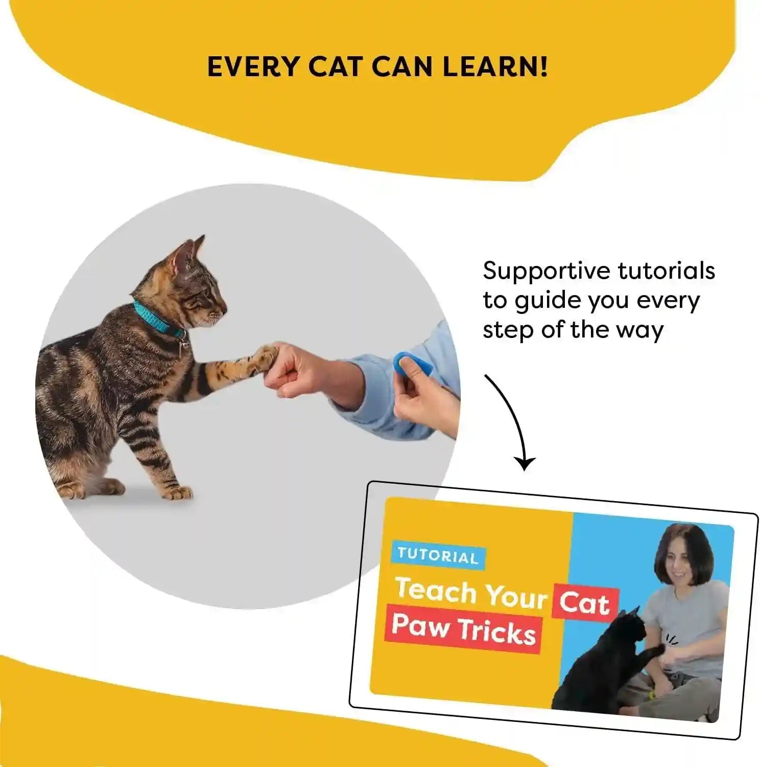 cat-training-clicker-with-detachable-wearable-finger-clicker-target-stick-positive-reinforcement-training-tool-for-cats-ideal-for-behavior-tricks-enrichment