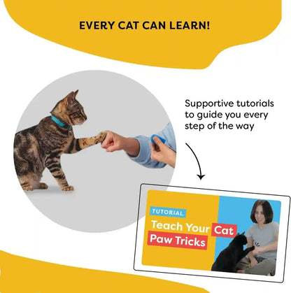 Cat Training Clicker with Detachable Wearable Finger Clicker & Target Stick – Positive Reinforcement Training Tool for Cats – Ideal for Behavior, Tricks & Enrichment9