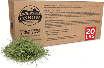 Oxbow Western Timothy Hay, Guinea Pig Hay, Small Pet Bunny Supplies, All Natural Grass for Guinea Pig, Bunny, Chinchilla & Hamster, Oxbow Rabbit Supplies for Bunnies, 9 Lb Box | Oxbow Timothy Hay, Bunny Hay for Rabbits, Guinea Pigs, Bunnies and Chinchillas, Hand-Sorted, De-Dusted, Made in USA18