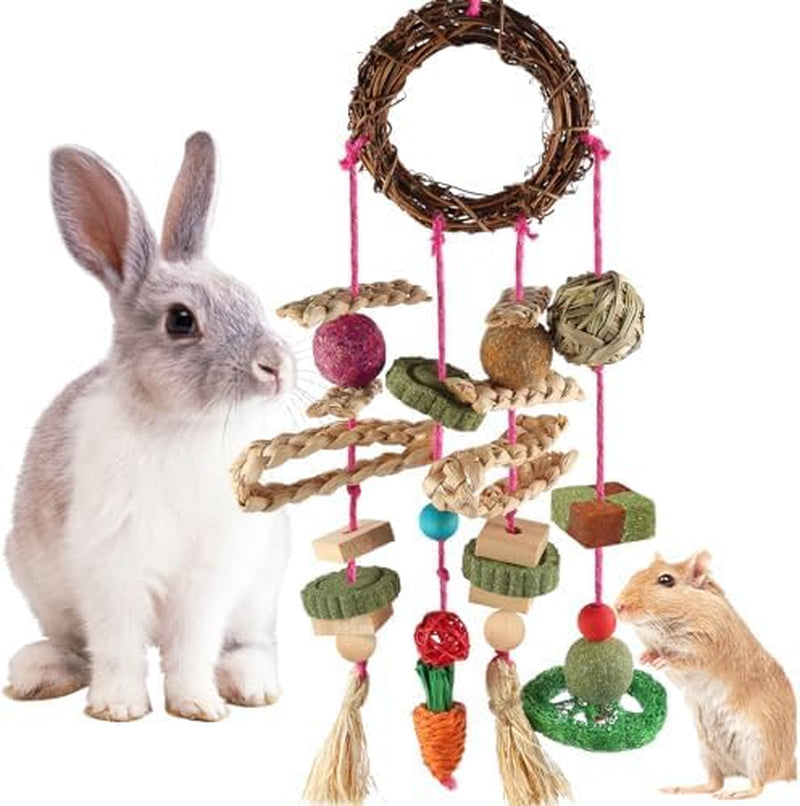 yixund-rabbit-guinea-pig-toys-natural-timothy-hay-apple-wood-sticks-for-teeth-care-handmade-for-hamster-bunny-chinchilla-27-pcs