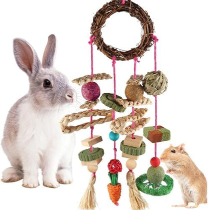 YIXUND Rabbit & Guinea Pig Toys - Natural Timothy Hay & Apple Wood Sticks for Teeth Care - Handmade for Hamster, Bunny, Chinchilla (27 Pcs)7