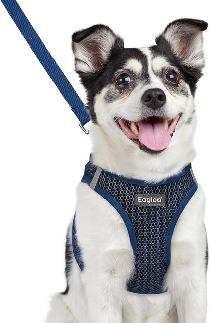 Eagloo Small Dog Harness and Leash Set, Step in Small Sized Puppy Pet Vest | Light, Soft, Breathable Air Mesh, Easy on and off with Hook & Loop, Reflective for Safe Walking, Pink, S25