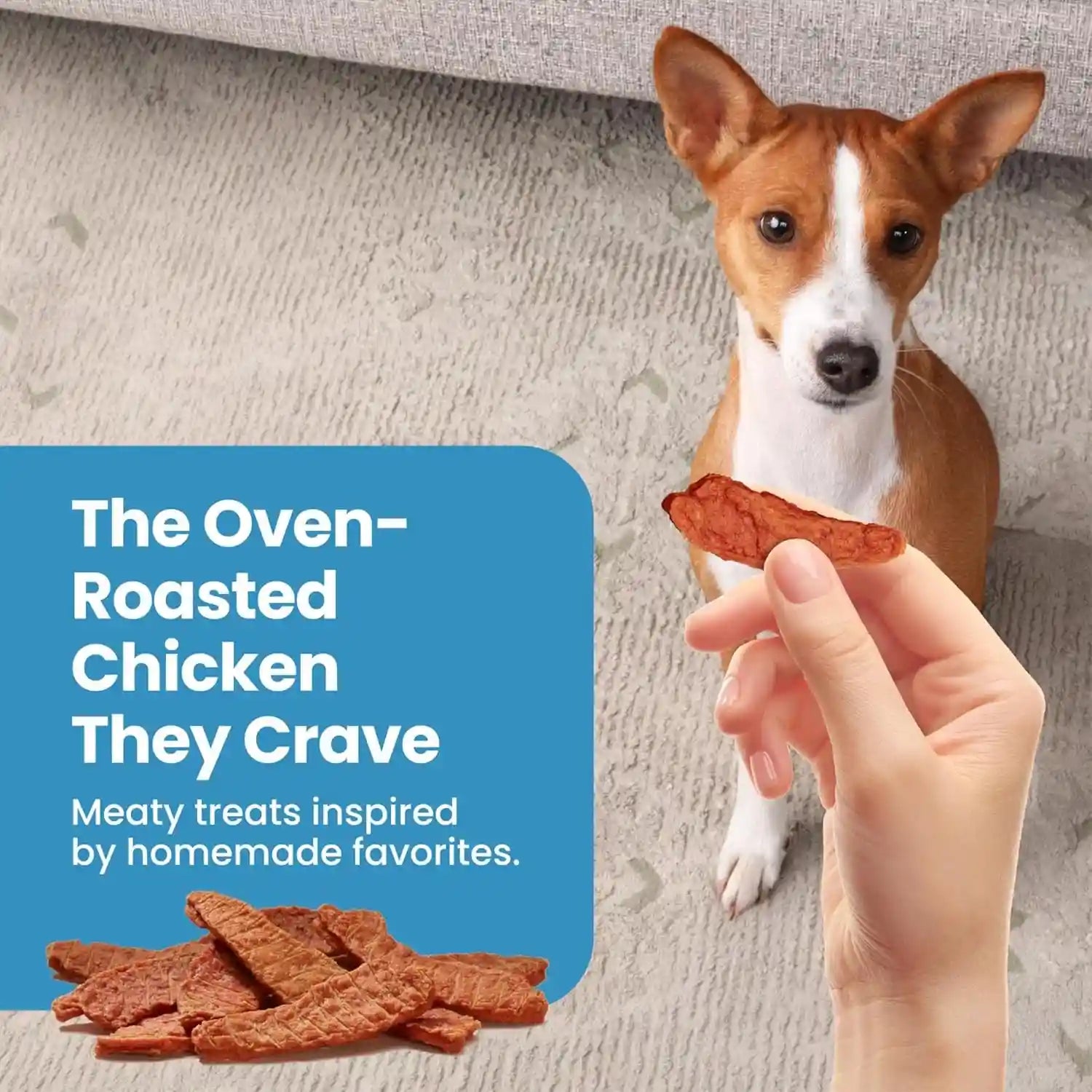 blue-buffalo-nudges-chicken-jerky-bites-natural-dog-treats-tender-meaty-dog-snacks-healthy-reward-or-training-treat-made-in-the-usa-with-real-chicken-no-artificial-preservatives-16-oz