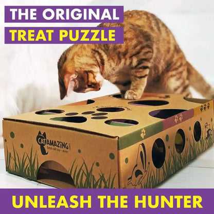 Cat Amazing Interactive Treat Maze and Puzzle CAT Toy2