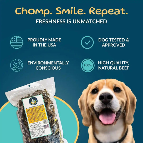 TREATOPIA Beef Lung Nuggies Dog Treats, 1 LB Bag, All-Natural | Healthy, High Protein, Hand-Trimmed, Slow-Roasted, Made in the USA, Nutritious, No Additives, No Fillers, All Life Stages2
