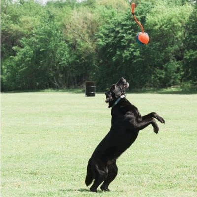 chuckit-rope-fetch-dog-toy-ball-on-rope-fetch-and-tug-of-war-toy-for-dogs-durable-eva-rubber-construction-5-5-inch-diameter-18-inch-rοpe-orange-and-blue
