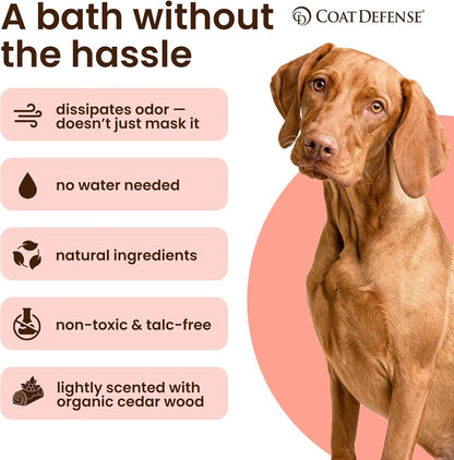 COAT DEFENSE Daily Preventative Powder | Made in USA | 3.5Oz Waterless Dog Shampoo & Pet Deodorizer for Smelly Dogs | Provides anti Itch Relief | Dog Dry Shampoo for Dry Itchy Skin8