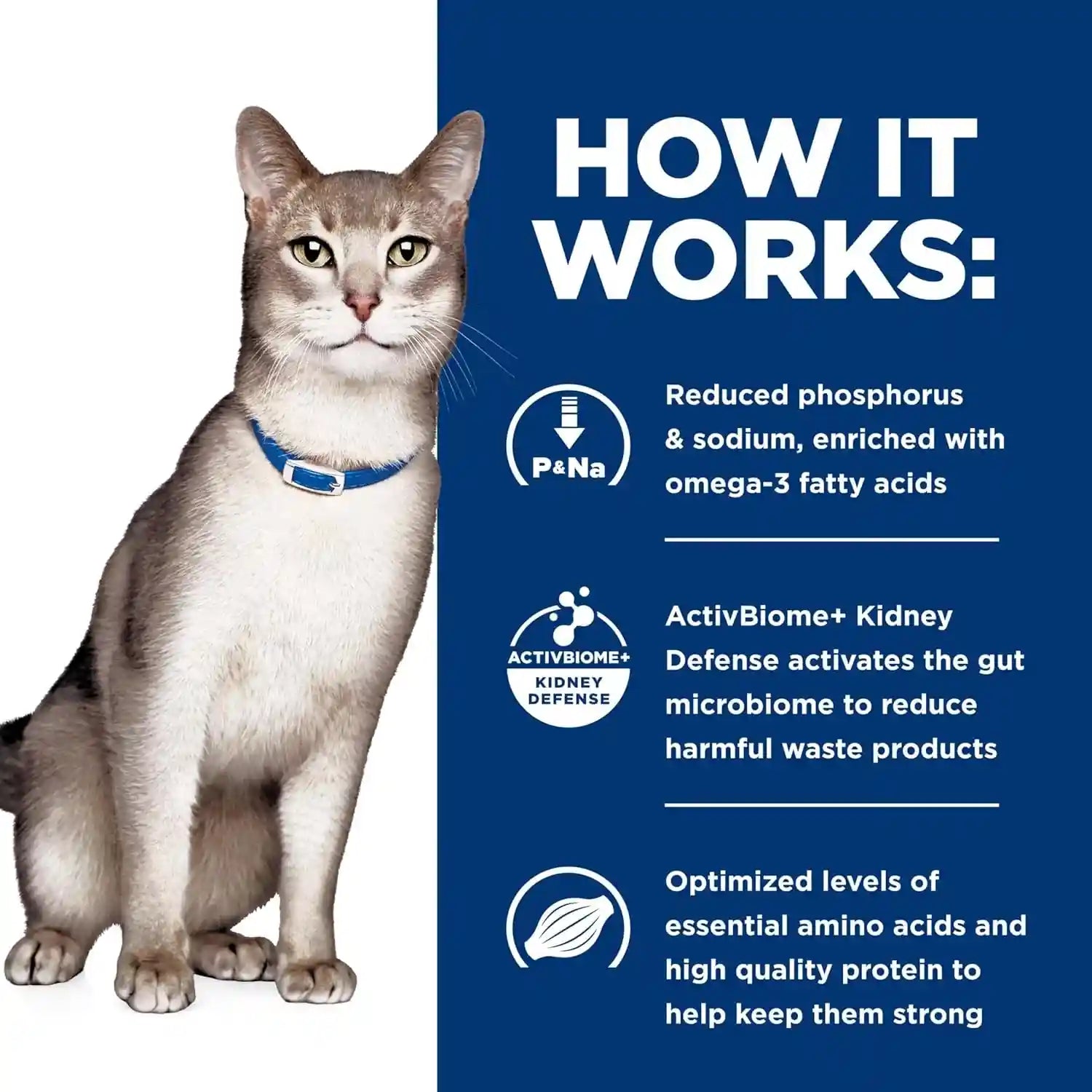 hills-prescription-diet-k-d-kidney-care-dry-cat-food-ocean-fish-4-lb-bag