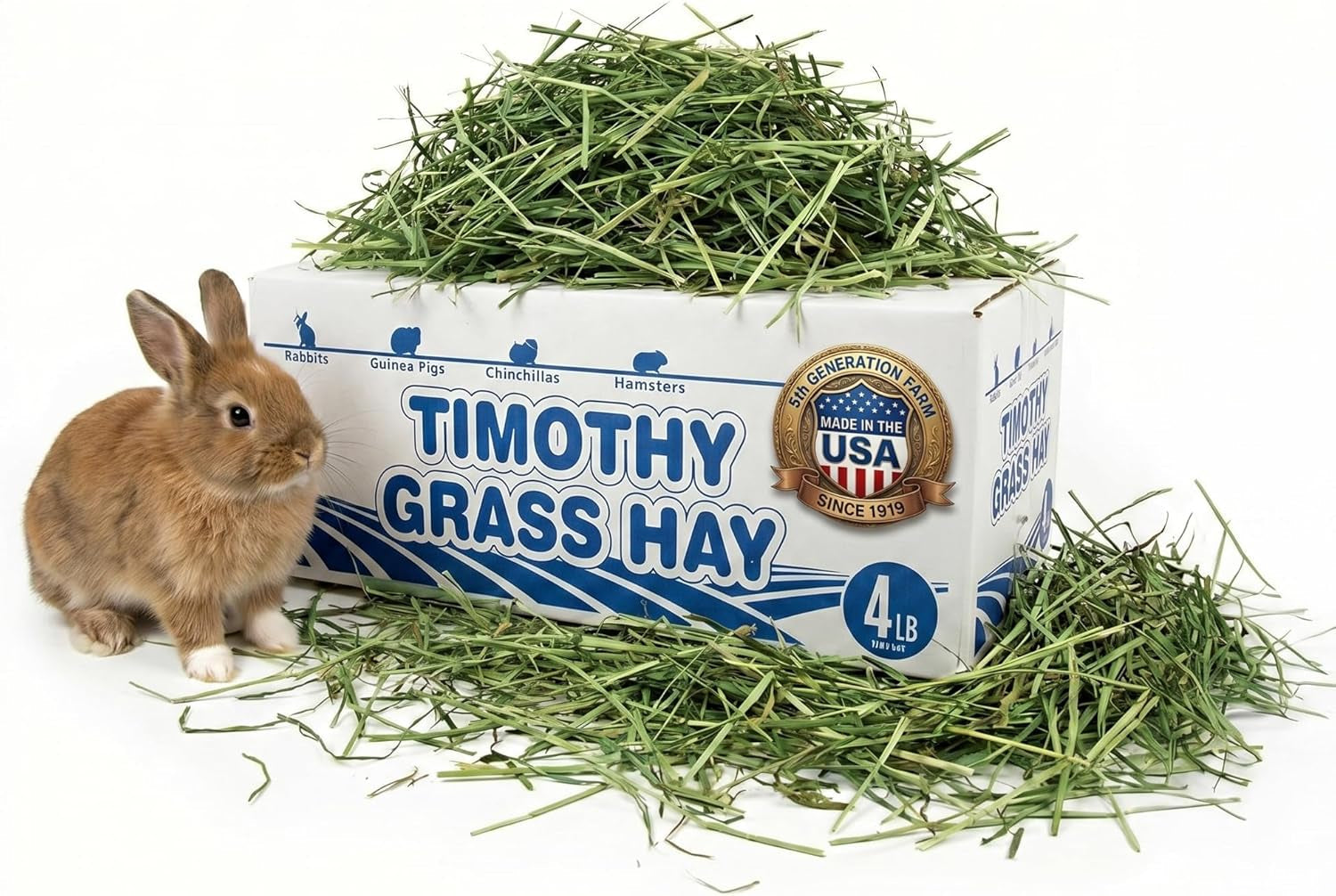 high-desert-2nd-cutting-timothy-hay-for-rabbits-guinea-pigs-4-lb-soft-leafy-texture-with-balanced-fiber-supports-healthy-digestion-great-for-chinchillas-hand-packed-in-the-usa-low-dust