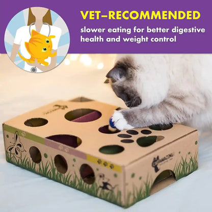 Cat Amazing Interactive Treat Maze and Puzzle CAT Toy4