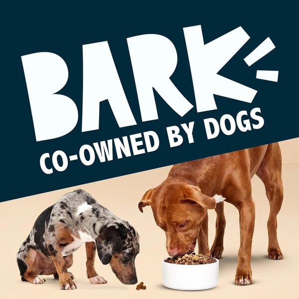 Barkbox Bada Bing Beef Dry Dog Food - 4.6 Oz | Topper - High Protein Beef & Rosemary Sprinkles - Meal Topper for Dog Food7