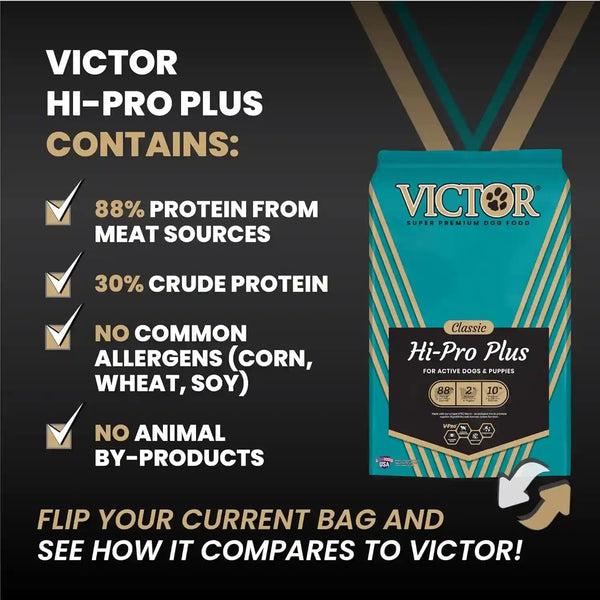 VICTOR Super Premium Dog Food – Hi-Pro plus Dry Kibble – High Protein Dog Food with 30% Protein – Beef, Chicken, Pork, Fish Meals, Gluten Free - for High Energy and Active Dogs & Puppies, 40Lbs7