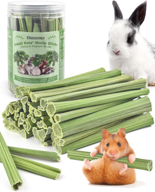Bissap 35PCS Rabbit Chew Sticks, Natural Papaya Stems Bunny Chews Treats for Rabbit Hamster Chinchilla Guinea Pig Small Animals Organic Molar Chewing Snack9