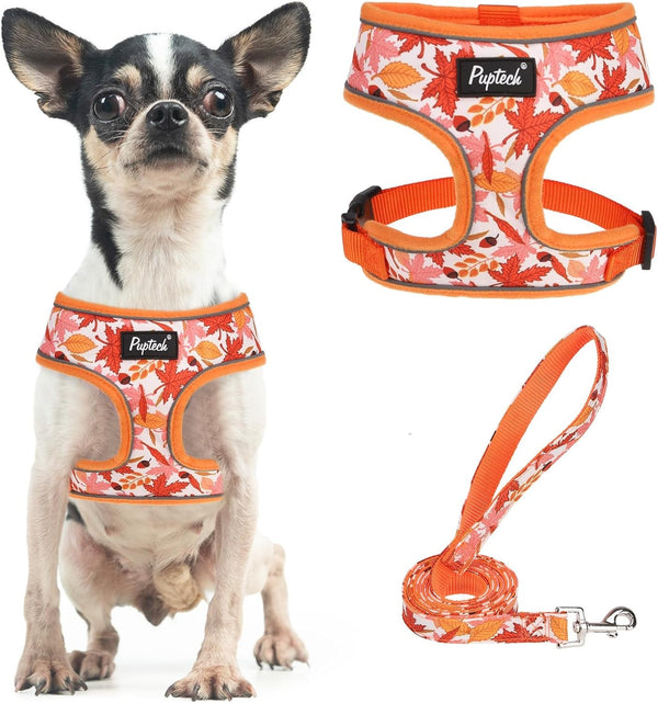 PUPTECK Soft Mesh Dog Harness Small Sized and Leash Set Pet Puppy Cat Comfort Padded Vest No Pull Harnesses, Beige, S41