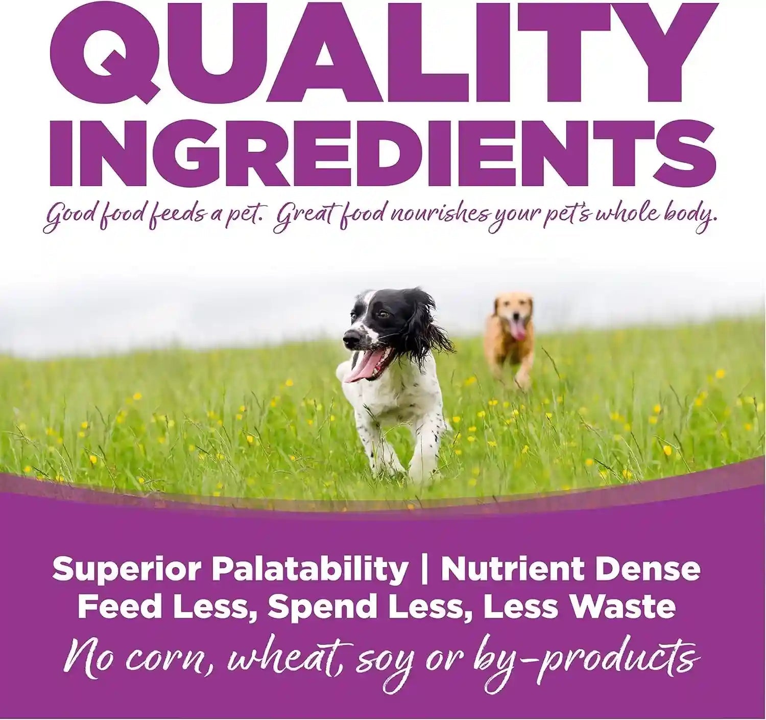 nutrisource-large-breed-puppy-dry-dog-food-chicken-rice-26-lb-probiotic-prebiotic-support-dha-epa-grain-inclusive-no-corn-wheat-or-soy