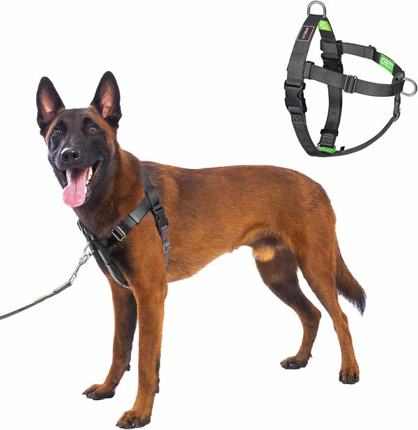 Freedom No Pull Dog Harness, Purple, Large | Designed for Hound Dog Train, Easy Walk with 2 Stainless D-Rings, Sewn-In Instructions Tags, 60-80 Lbs11