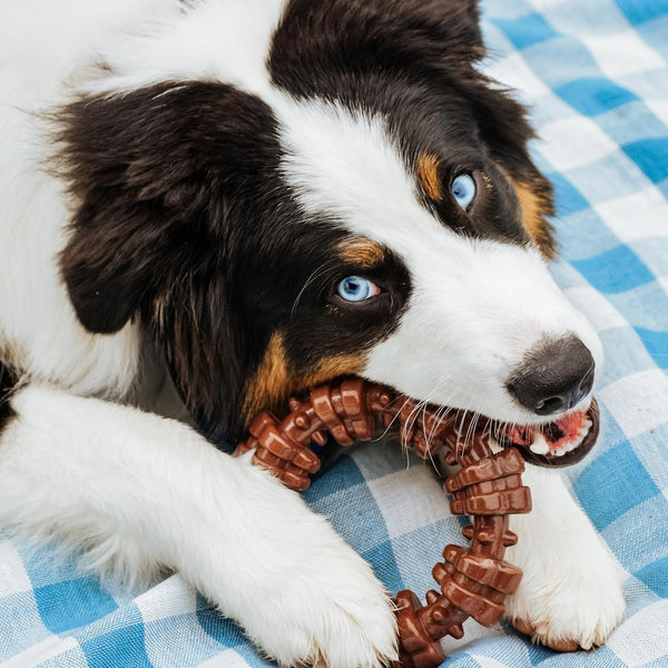 Nylabone Power Chew Customer Favorites Dog Chew Toys, 3 Count, Large | Flavor Medley, Peanut Butter, and Beef Flavor, Durable Dog Toys for Aggressive Chewers, for Large Breeds up to 50 Lbs7
