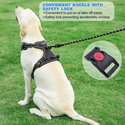 Tobedri No Pull Dog Harness Adjustable Reflective Oxford Easy Control Medium Large Dog Harness with a Free Heavy Duty 5Ft Dog Leash, Blue, M4