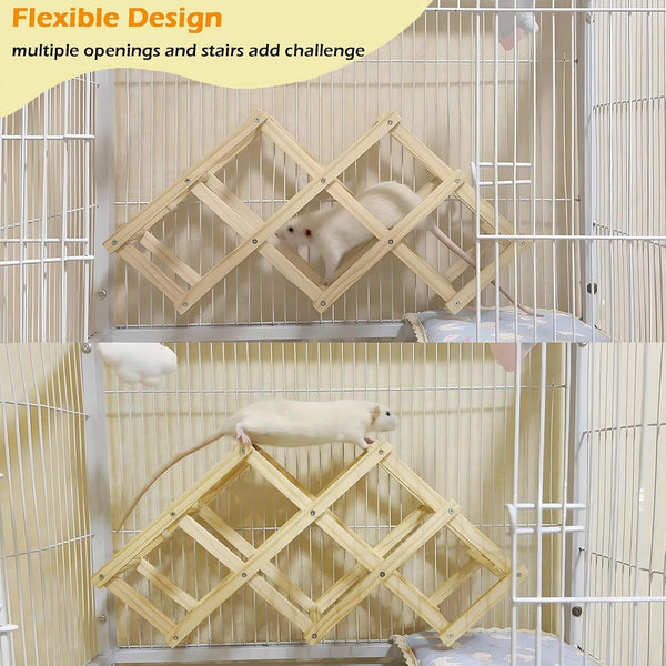 Kiln-Dried Wood Rat Climb Toy, Hanging Cage Ladder Activity (M, 1Pc) | Natural Rat Cage Bridge, Multiple Openings & Directional Ramps Offer Challenges to Satisfy Rats' Instincts for Explore & Play4