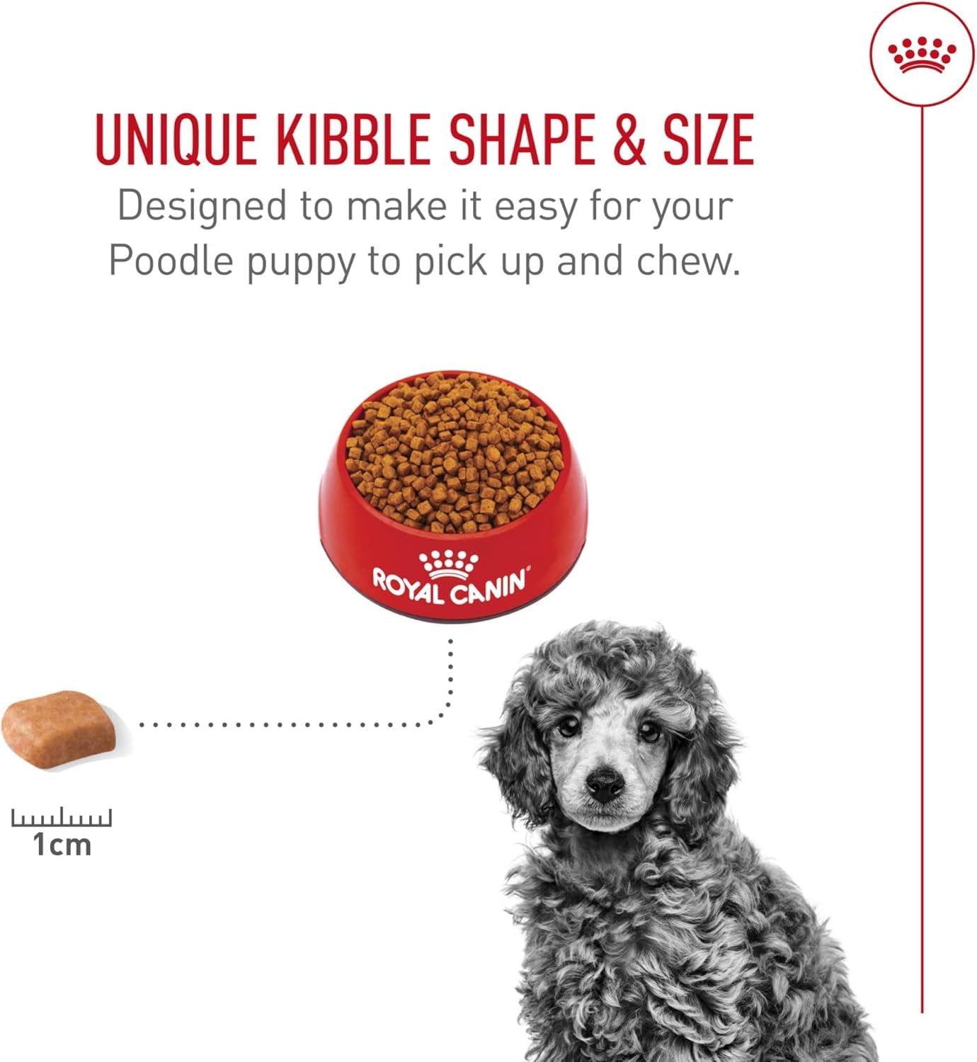 royal-canin-breed-health-nutrition-poodle-puppy-dry-dog-food-2-5-lb-bag-tailored-for-poodle-puppies-up-to-10-months-specialized-kibble-shape-supports-healthy-digestion-antioxidant-rich-formula