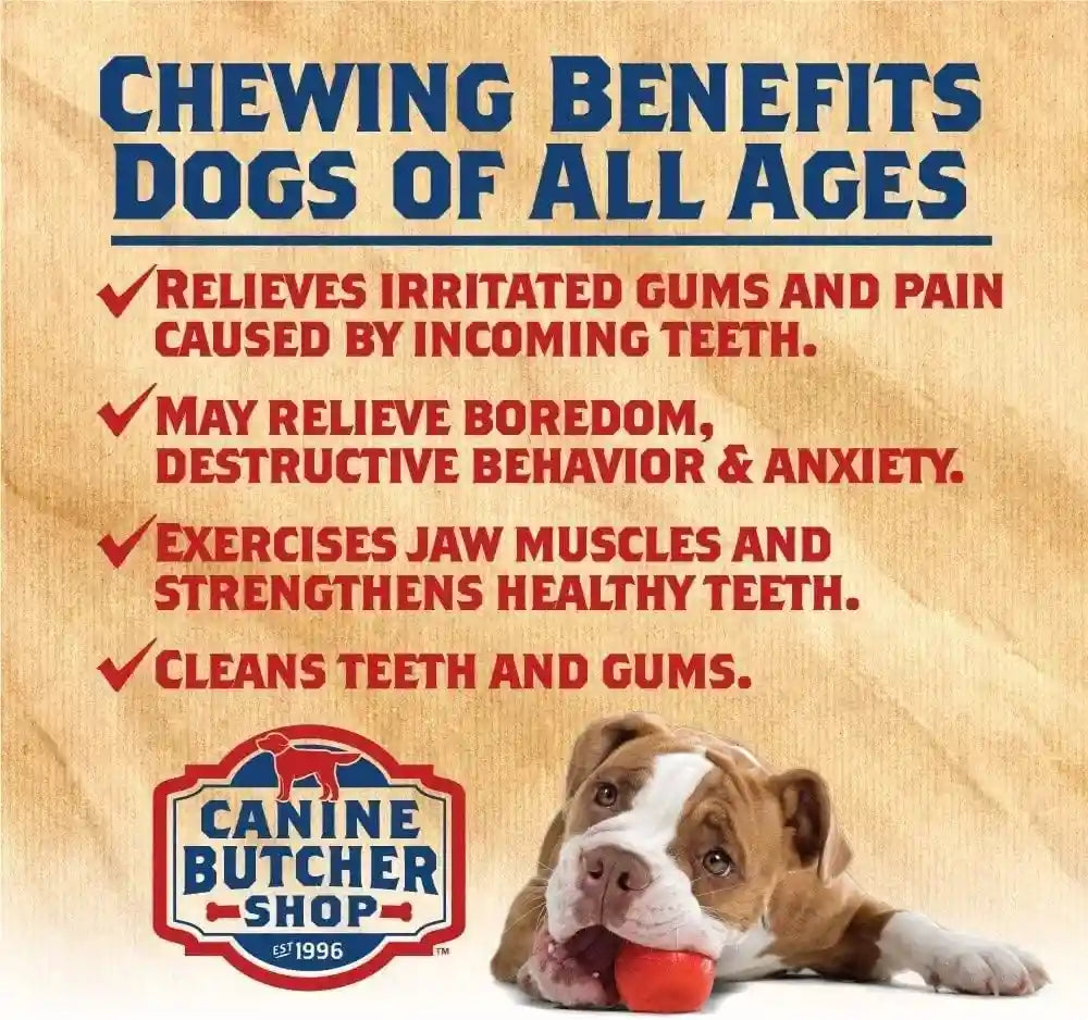 chicken-feet-dog-treats-raised-made-in-usa-30-pack-dehydrated-chicken-feet-all-natural-dog-chews-dog-snacks-crunchy-texture-naturally-dehydrated-rich-in-glucosamine-supports-joint-health-made-in-the-usa