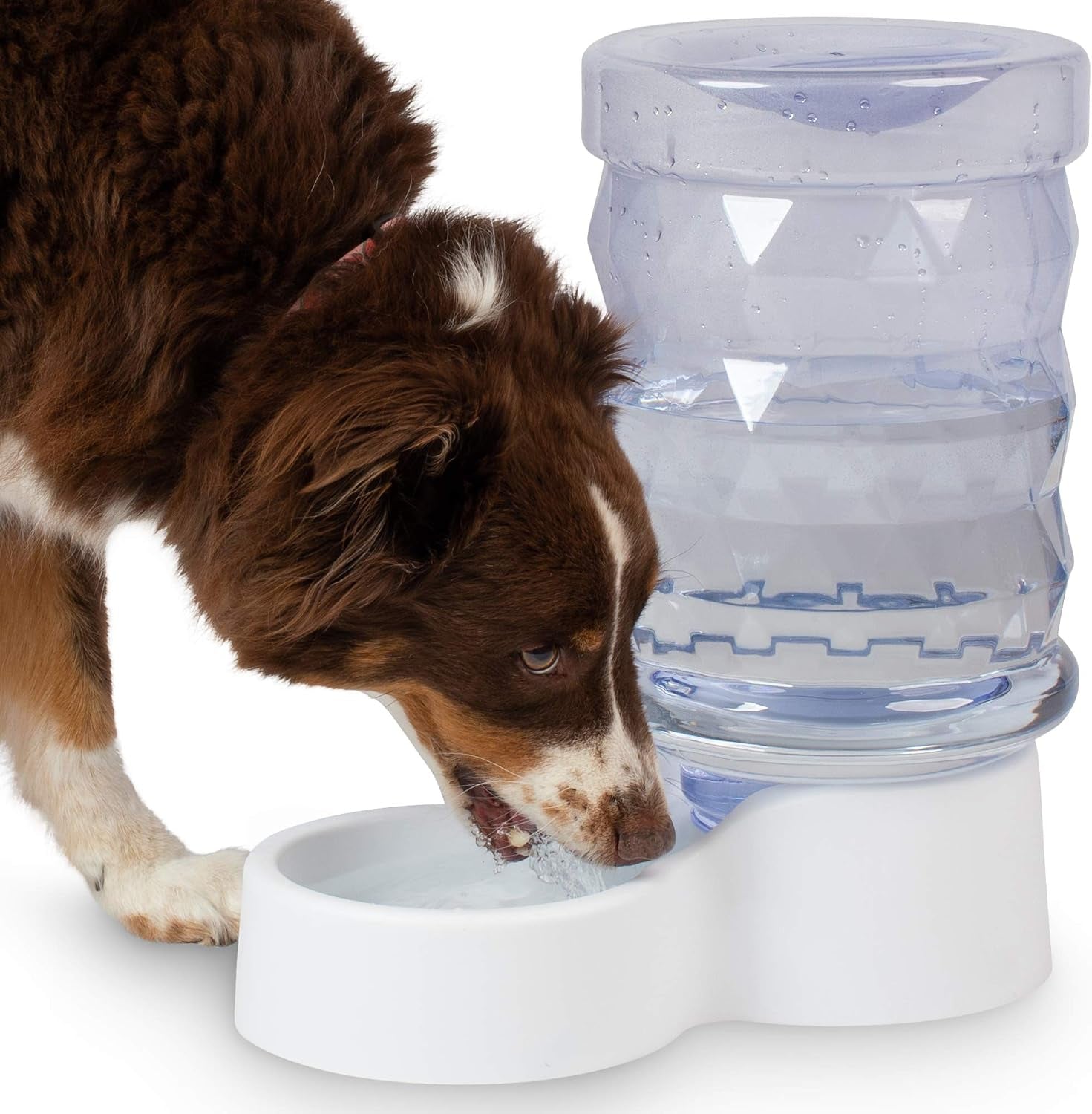 petfusion-h2o-gravity-pet-water-dispenser-durable-2-5-gallon-waterer-feeder-automatic-station-for-cats-small-medium-large-dogs-transparent