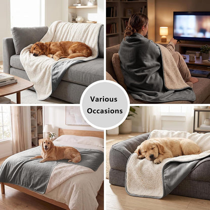 Waterproof Blanket for Dogs - Pet Throw as Furniture Protector | Cozy Sherpa & Smooth Velvet, Reversible and Machine Washable, for Couch and Bed, 60"X80", Dark Grey6