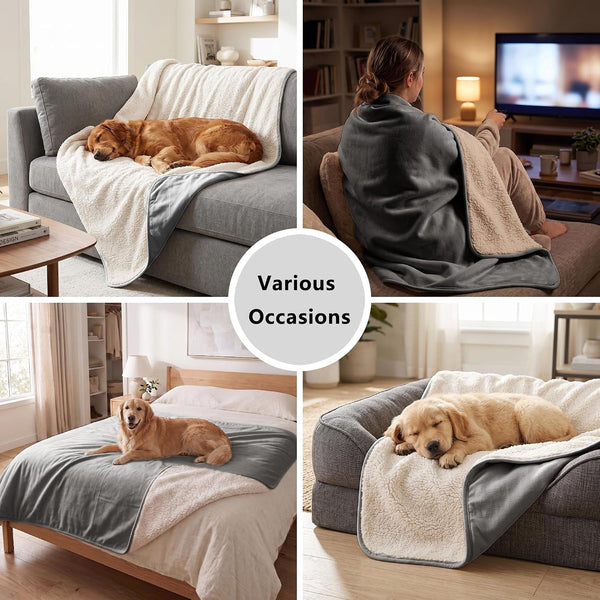 Waterproof Blanket for Dogs - Pet Throw as Furniture Protector | Cozy Sherpa & Smooth Velvet, Reversible and Machine Washable, for Couch and Bed, 60"X80", Dark Grey6