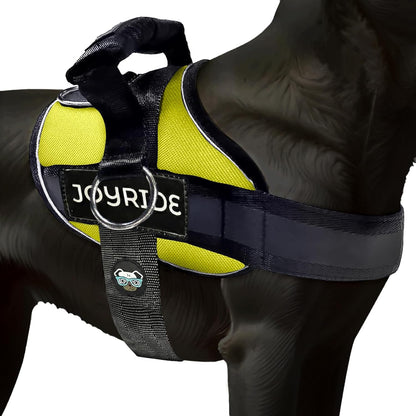 Joyride Dog Harness 2.0 | No-Pull | Blue 2.0 | M | Reflective No-Choke Quick-Fit Vest with 3 Leash Clips and Escape-Resistant Design for Easier Walks and Training14