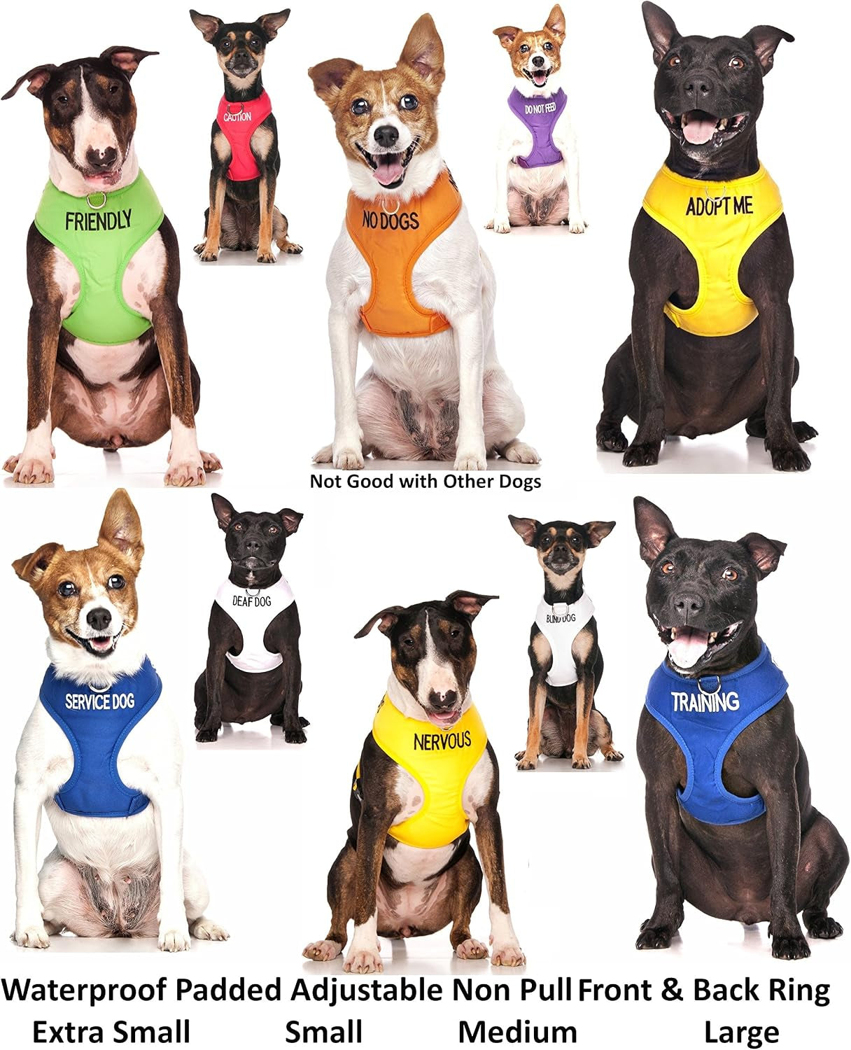 dexil-limited-adopt-me-i-need-a-new-home-yellow-color-coded-non-pull-front-and-back-d-ring-padded-and-waterproof-vest-dog-harness-prevents-accidents-by-warning-others-of-your-dog-in-advance-s
