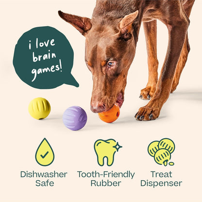 WOOF Flyball Fetch Ball & Dog Treat Dispenser Toy, 3-Pack | 2-In-1 Fetch Ball, Fits Standard Ball Launchers, Treat Dispenser, Durable Rubber, Dishwasher Safe, Puzzle Enrichment6
