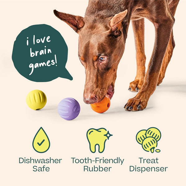 WOOF Flyball Fetch Ball & Dog Treat Dispenser Toy, 3-Pack | 2-In-1 Fetch Ball, Fits Standard Ball Launchers, Treat Dispenser, Durable Rubber, Dishwasher Safe, Puzzle Enrichment6