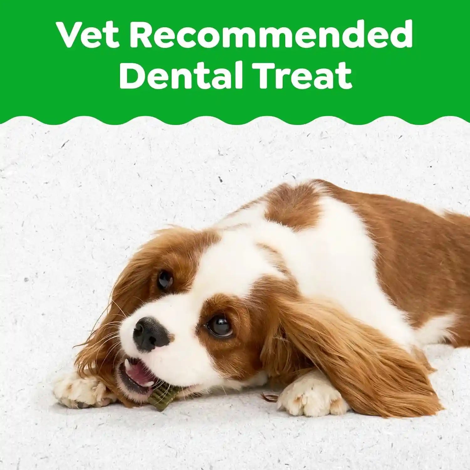 greenies-puppy-teenie-natural-dental-dog-treats-original-flavor-22-count-veterinarian-recommended-natural-ingredients-cleans-teeth-freshens-breath-for-dogs-5-15-lbs-6-oz-pack