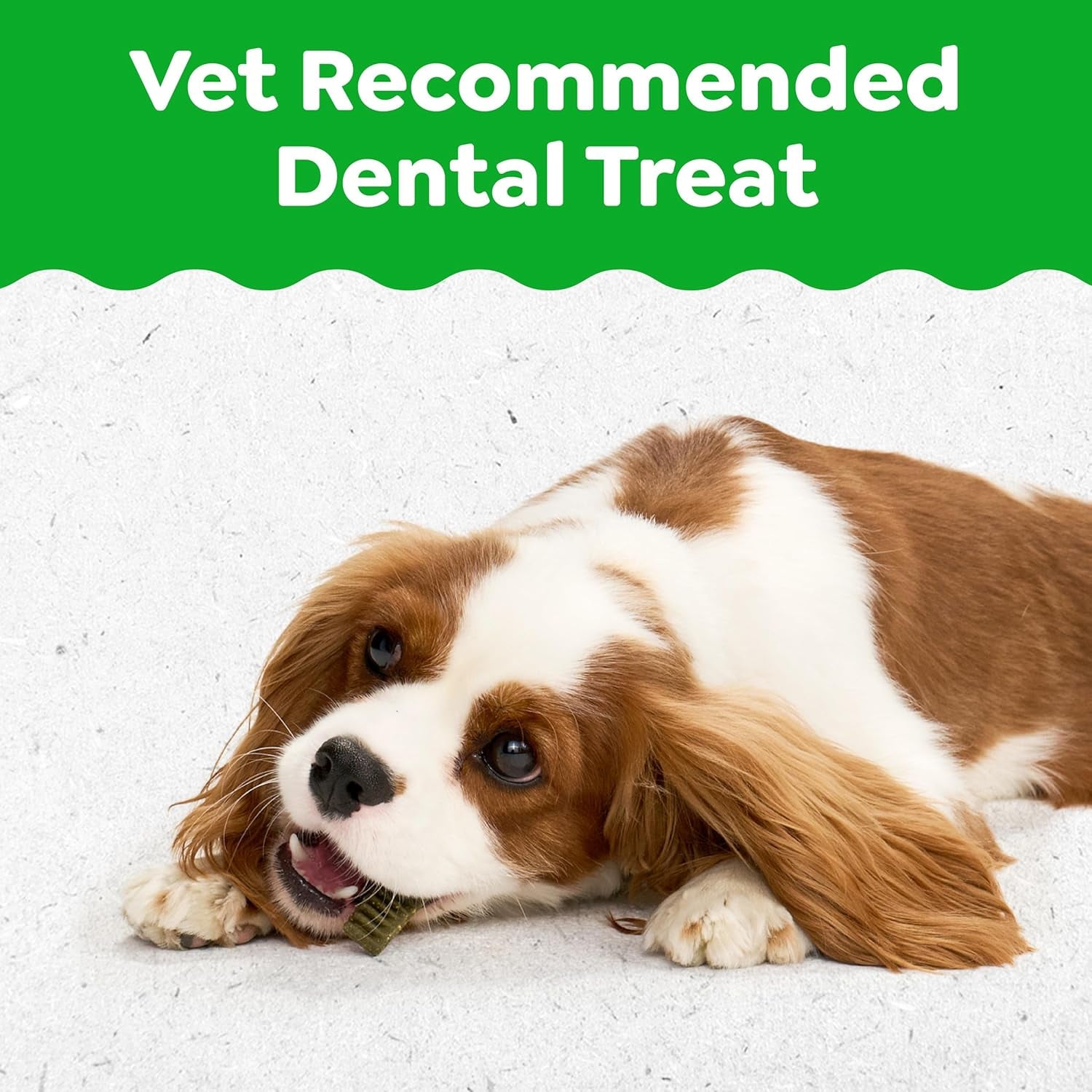 greenies-puppy-regular-natural-dental-dog-treats-original-flavor-12-count-veterinarian-recommended-natural-ingredients-cleans-teeth-freshens-breath-for-puppies-25-50-lbs-6-oz-pack