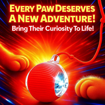 Purrmitive 2026 Durable Interactive Cat Toys for Indoor Cats, Dog Toys Ball, Rolling Pet Ball, Smart Automatic Cat Chase Balls Toy, Interactive Dog Toys Speedy Tail,Kitten & Cat Toys Interactive (Red)6