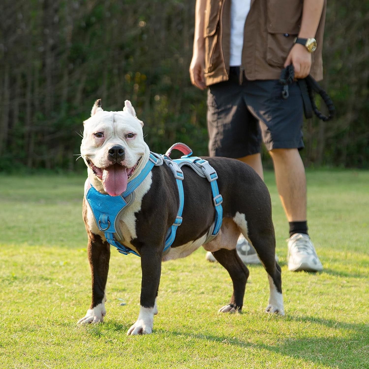huntboo-escape-proof-dog-harness-escape-artist-harness-reflective-harness-with-padded-handle-breathable-durable-adjustable-vest-for-medium-dogs-walking-training-and-running-gear-blue-m