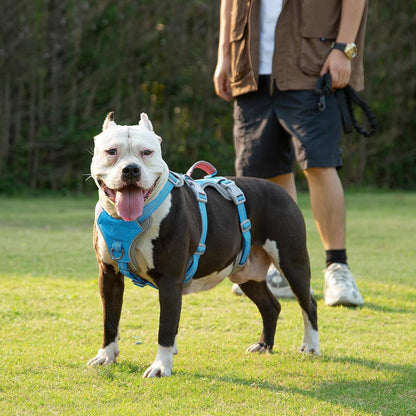 Huntboo Escape Proof Dog Harness, Escape Artist Harness, Reflective Harness with Padded Handle, Breathable, Durable, Adjustable Vest for Medium Dogs Walking, Training, and Running Gear (Blue, M)6