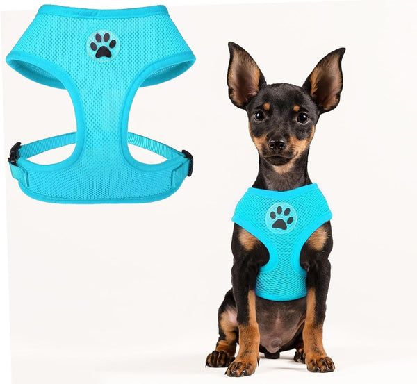 BINGPET Small Dog Harness, No Pull Dog Harness Small Sized Dogs, Soft Light Breathable Mesh Puppy Vest with Safety Buckle-Adjustable Step in Pet Harnesses for Easy Walking, Running, Training9