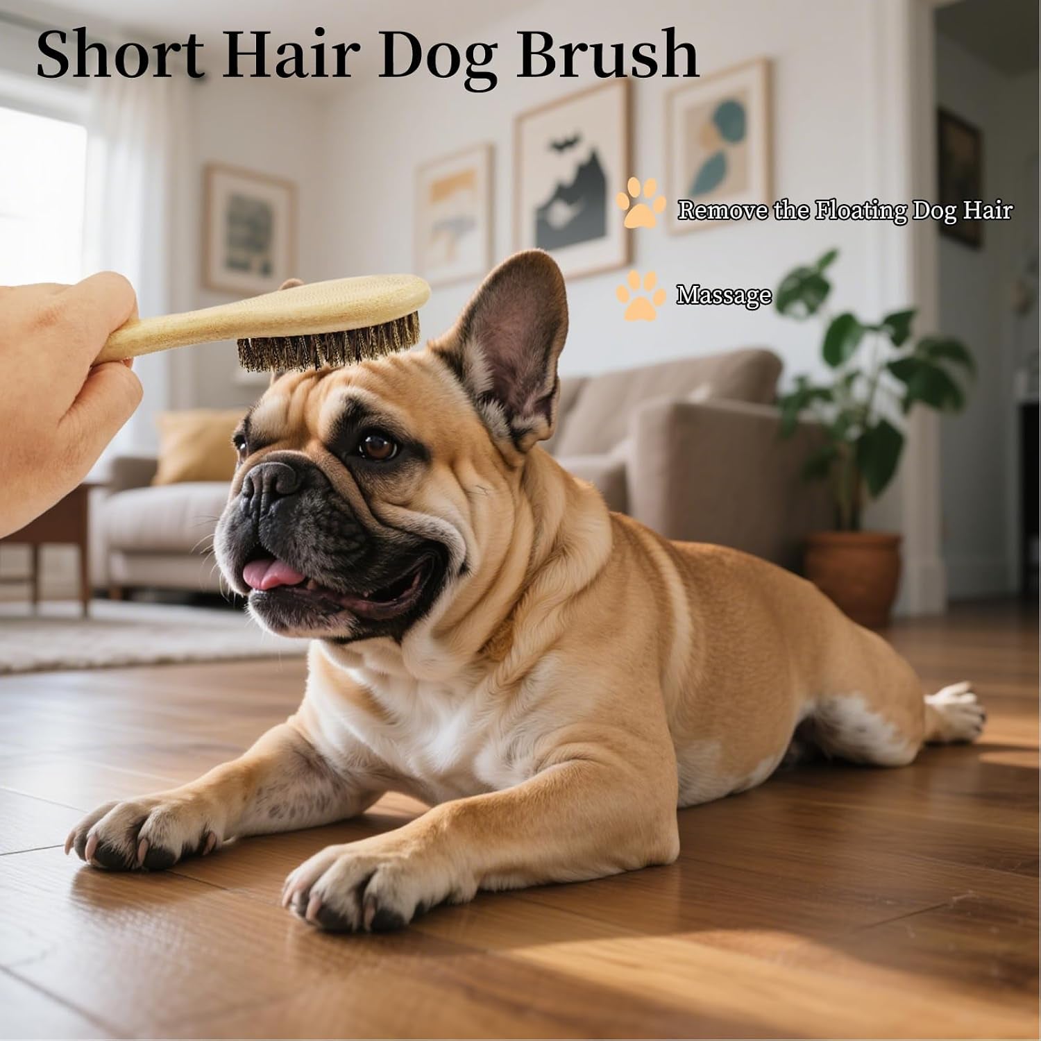 soft-boar-bristle-dog-brush-for-short-haired-ideal-pet-hair-brush-gentle-deshedding-grooming-tool-puppy-essentials-for-grooming-and-shedding