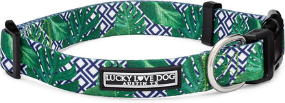 Lucky Love Dog - Easy Click Buckle Dog Collar with Leash Set Combo, Durable & Comfortable for Male & Female Dogs, Pet Collar for Medium Dogs, Secure Fit - Blackbird Combo, Medium64