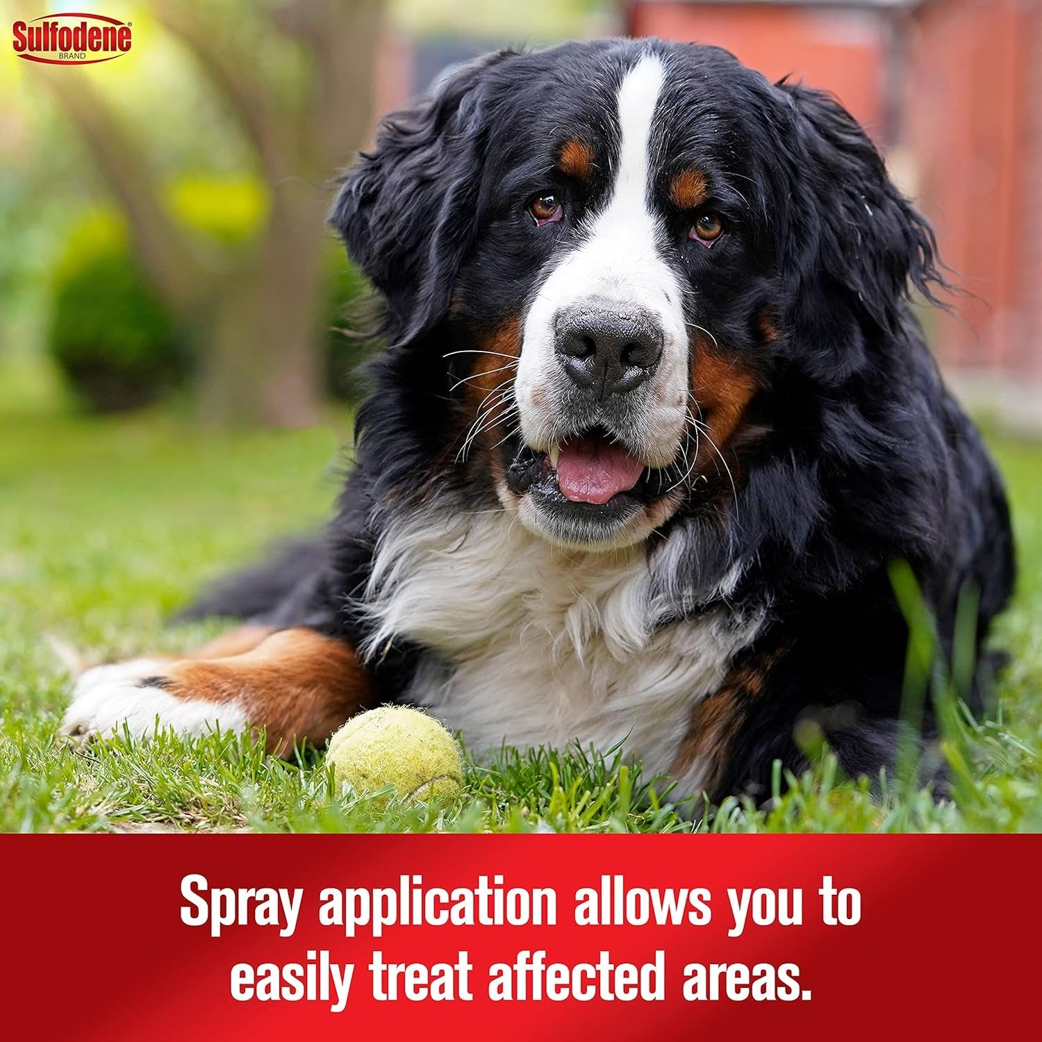 sulfodene-hot-spot-itch-relief-medicated-spray-for-dog-8oz-vet-recommended-anti-itch-spray-for-dogs-with-aloe-vera-dog-hot-spot-spray-for-allergies-scrapes-and-abrasions